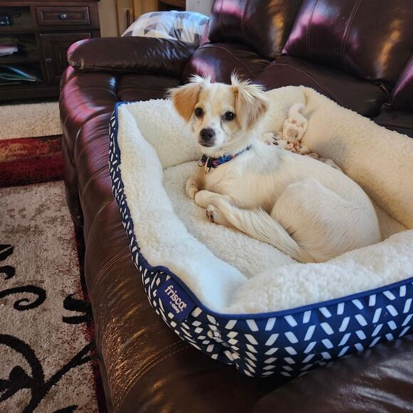 Thanks for Visiting!! - Picture 6 of 9